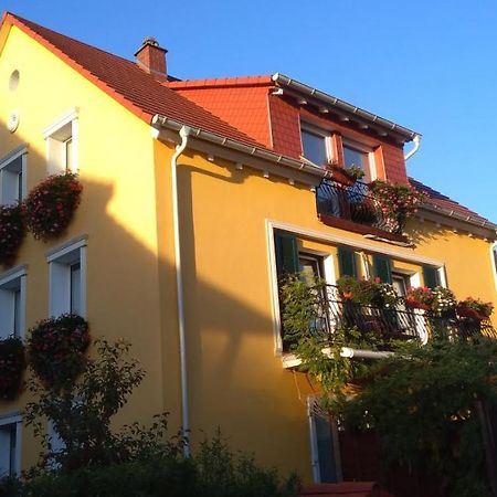 Villa Paz Rhein-Main Offenbach المظهر الخارجي الصورة