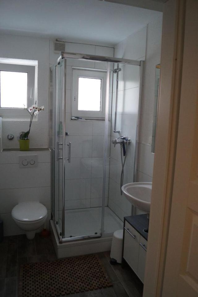 Villa Paz Rhein-Main Offenbach المظهر الخارجي الصورة